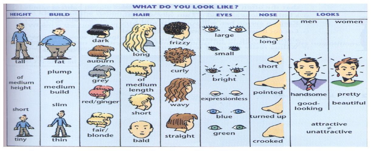 Описание внешности человека на английском языке план