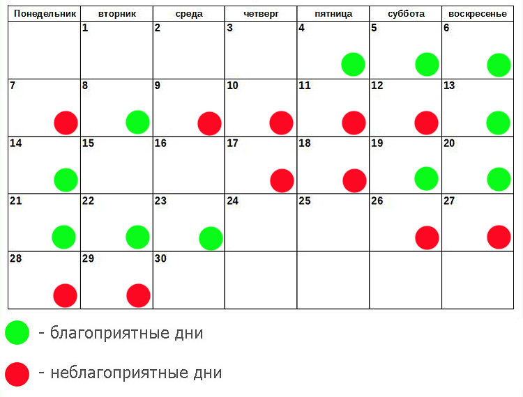 12 лунный день стрижка. Стрижка по лунному календарю. Лунный календарь стрижек. Денежные стрижки по лунному календарю. Календарь стрижек на ноябрь.