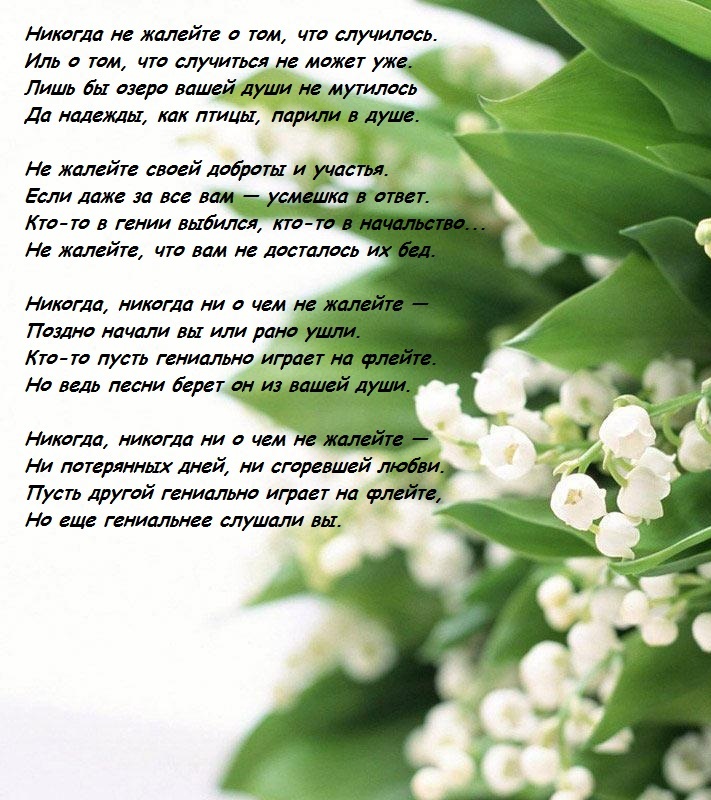 Текст стихотворения дементьева никогда. Стих никогда не жалейте. Стих про весну. Стих Дементьева никогда не жалейте.