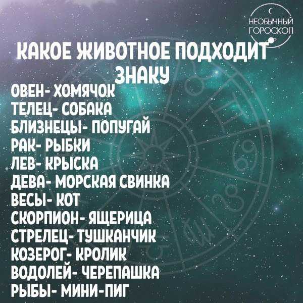 Весы гороскоп на 5 апреля 2024. Необычный гороскоп. Самый сильный знак зодиака. Самые распространенные знаки зодиака. Самый главный знак зодиака в гороскопе.