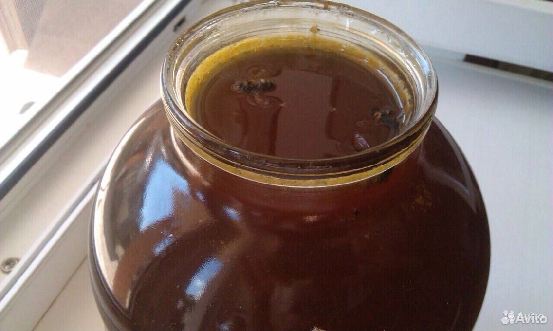 Каштановый мёд. Гречишный мед и каштановый. Мед гречишный черный. Каштановый мед фото. Каштановый мед купить