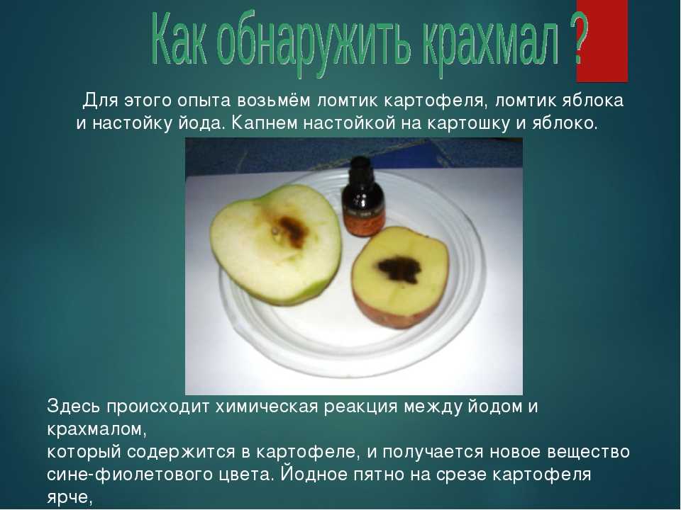 В картофеле есть вода. Опыт с йодом и крахмалом. Обнаружение крахмала в яблоке. Обнаружение крахмала в картофеле. Эксперимент с яблоком и йодом.
