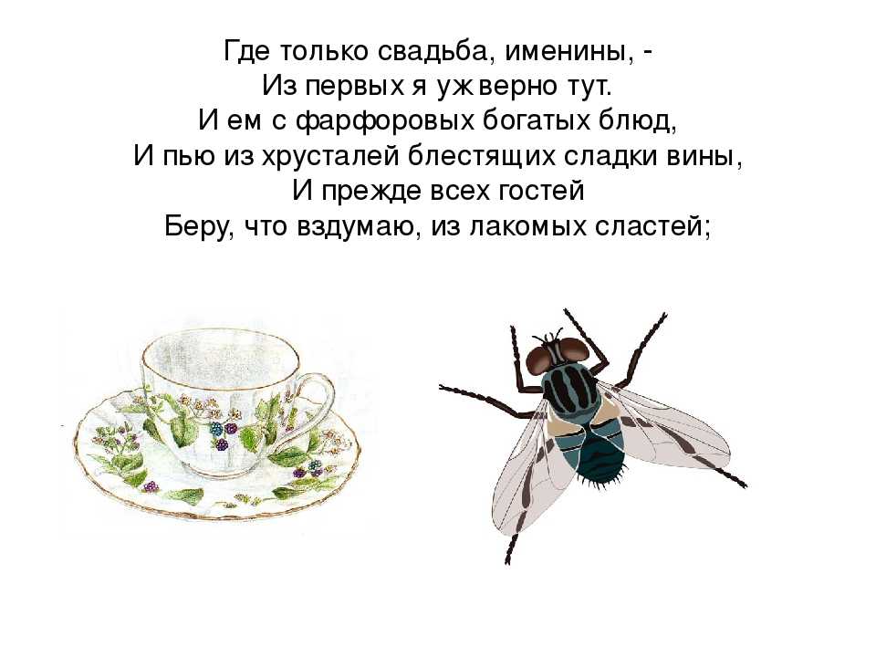 Пересказ муха. Муха и пчела басня Крылова. Басня Крылова Муха. Басня Муха и пчела Крылов. Басня про муху.