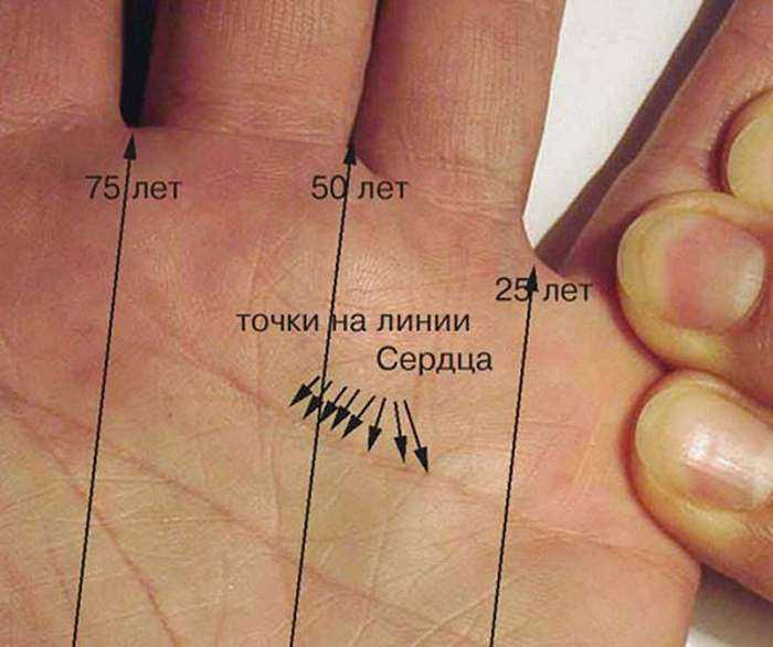 Что значит линия. Точка на линии сердца. Линия сердца на ладони. Хиромантия точки на линиях.