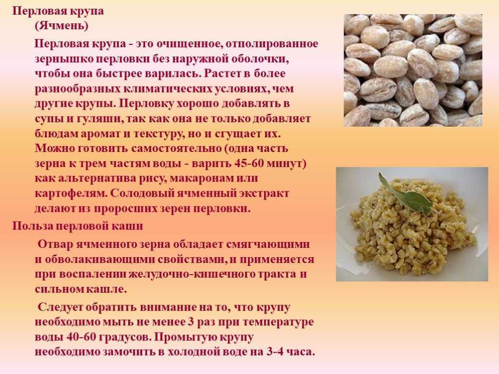 Чем полезна белковая каша