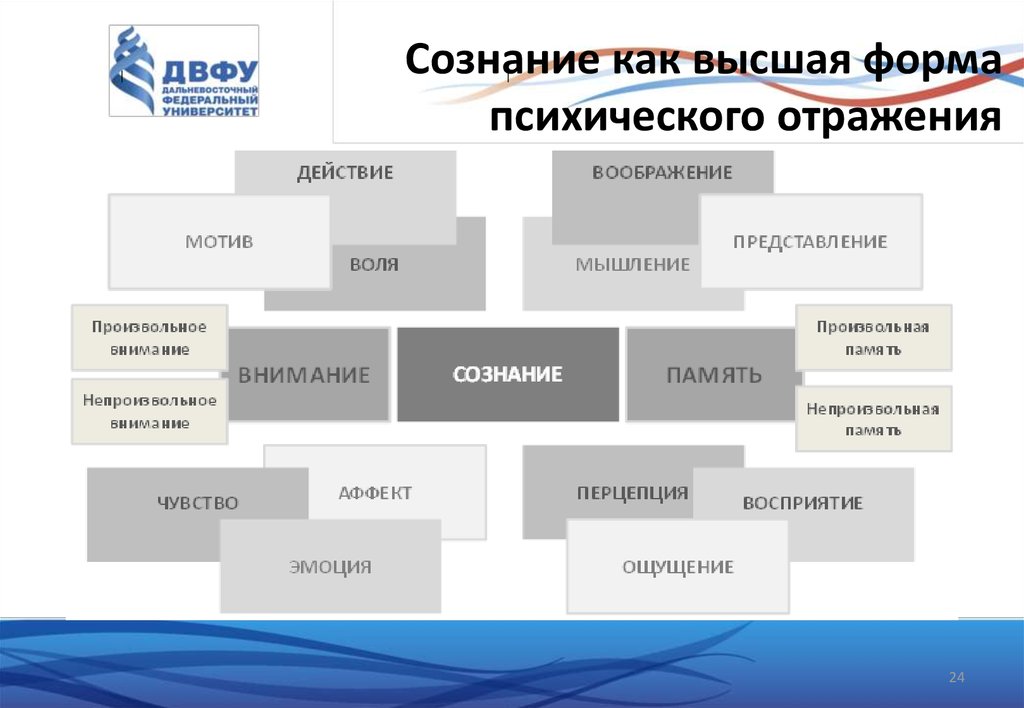 Сознание как отражение. Сознание как Высшая форма психического отражения. Сознание как Высшая форма психического отражения характеризуется. Сознание как Высшая форма психики. Сознание как формы психологического отражения.