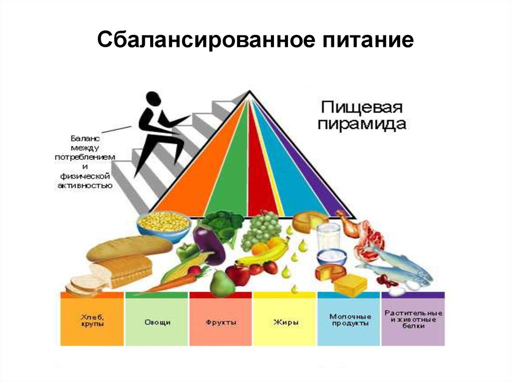 Рисунок сбалансированное питание