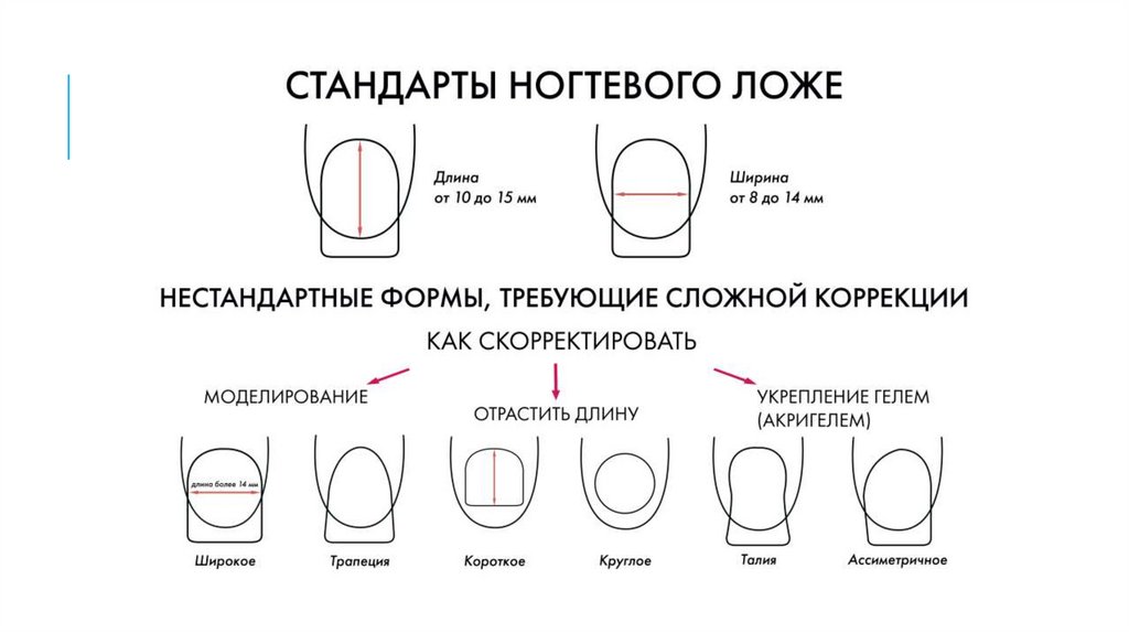 Картинка ногтя для обучения