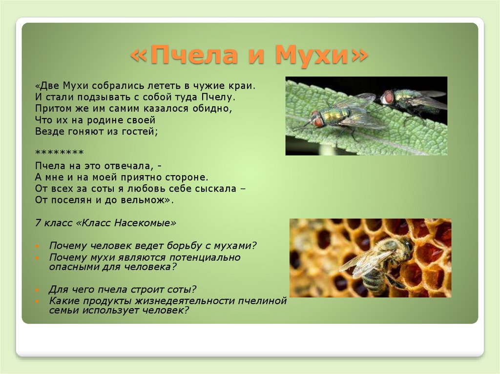 Притча о пчелах