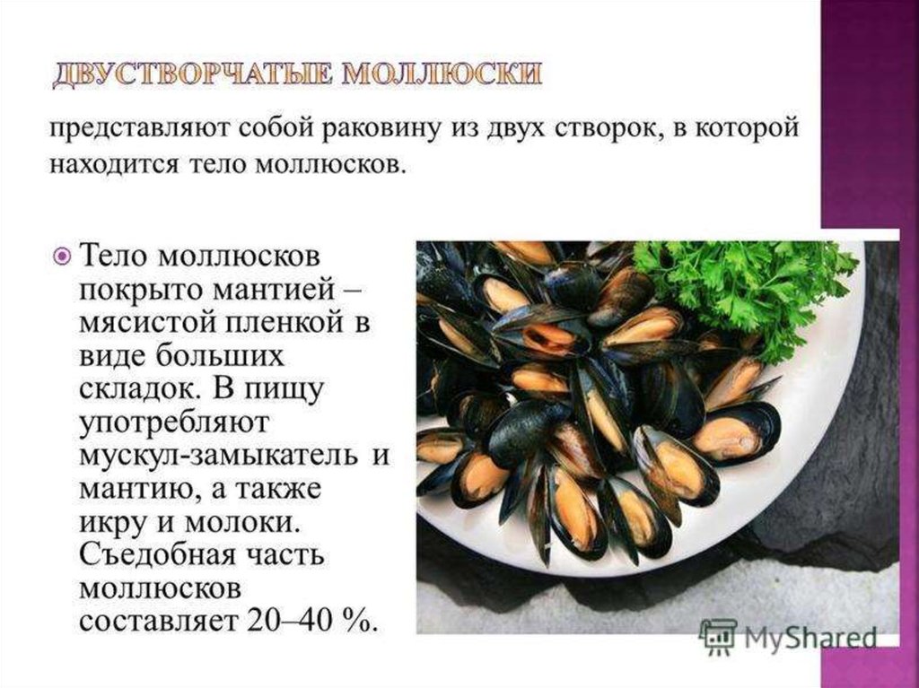 Классификация морепродуктов схема