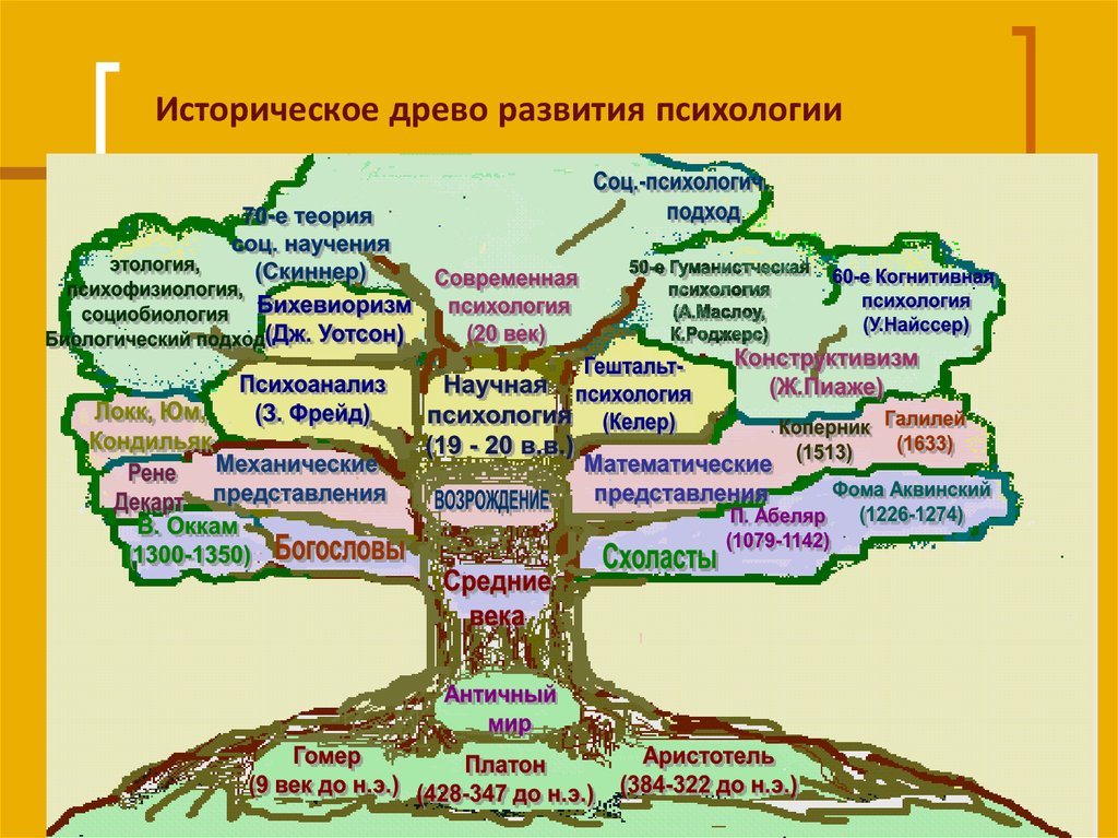 Нарисуйте схему личности в виде дерева личности