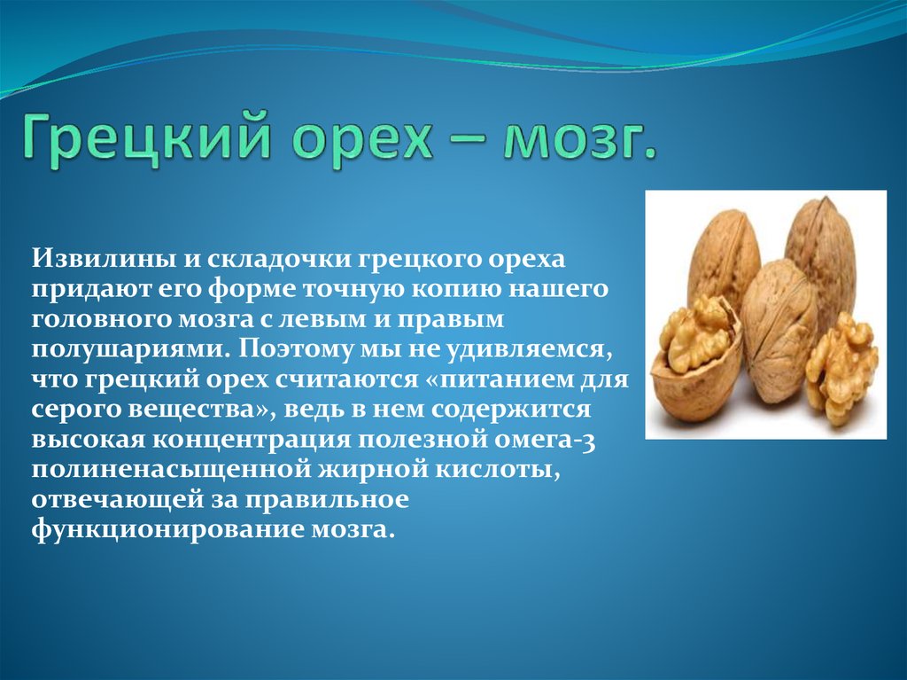 Орехи полезные для мозга. Орехи полезны для мозга. Грецкий орех польза. Чем полезен грецкий орех. Что полезного в грецких орехах.