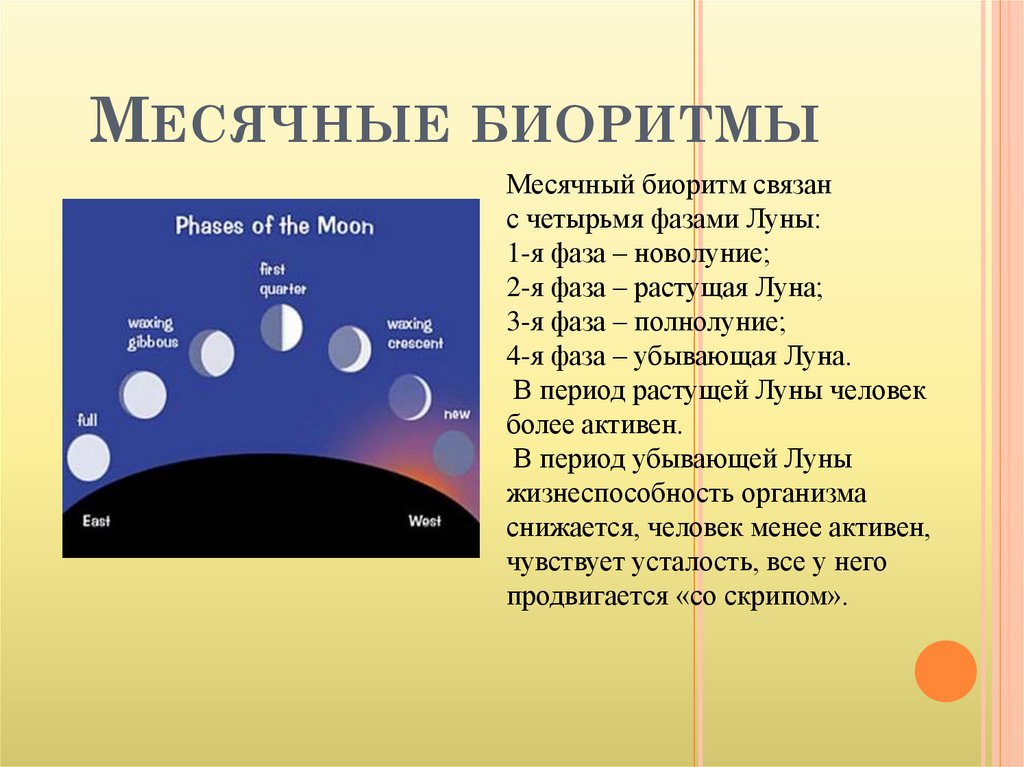 Что такое фазы луны нарисуйте схему основных 4 фаз и дайте название каждой фазе