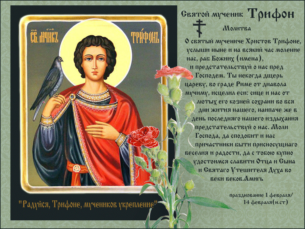 Об исцелении животных. Икона Святого Трифона покровителя. Молитва 14 февраля святому Трифону.