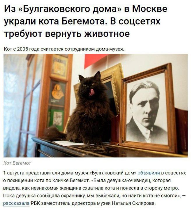 Кот бегемот музей