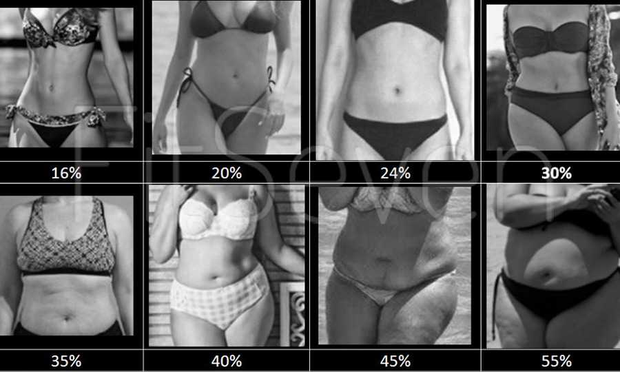 Как вычислить процент жира. 30 Процентов жира в организме женщины. 20% Жира в теле женщины. 20 Процентов жира. Процент жира в организме женщины.