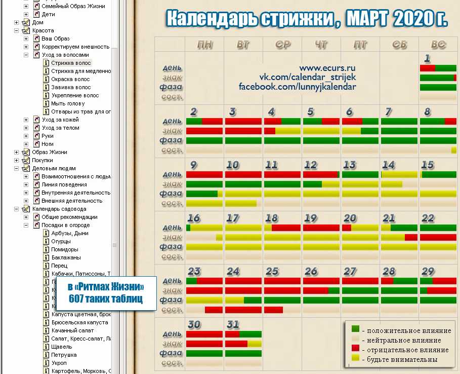 Календарь по стрижке волос