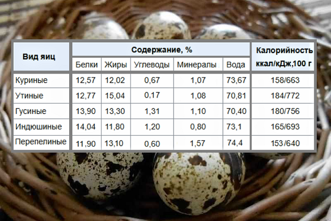 Яйца при диабете можно. Калорийность 1 перепелиного яйца. Пищевая ценность перепелиных яиц 1 шт. Калорийность перепелиного яйца 1 шт. Перепелиные яйца Калло.