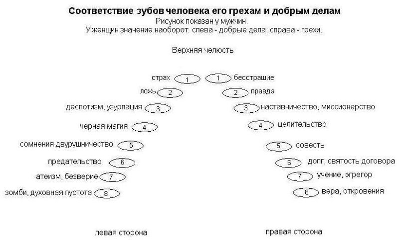 Зубы и их значение эзотерика картинка