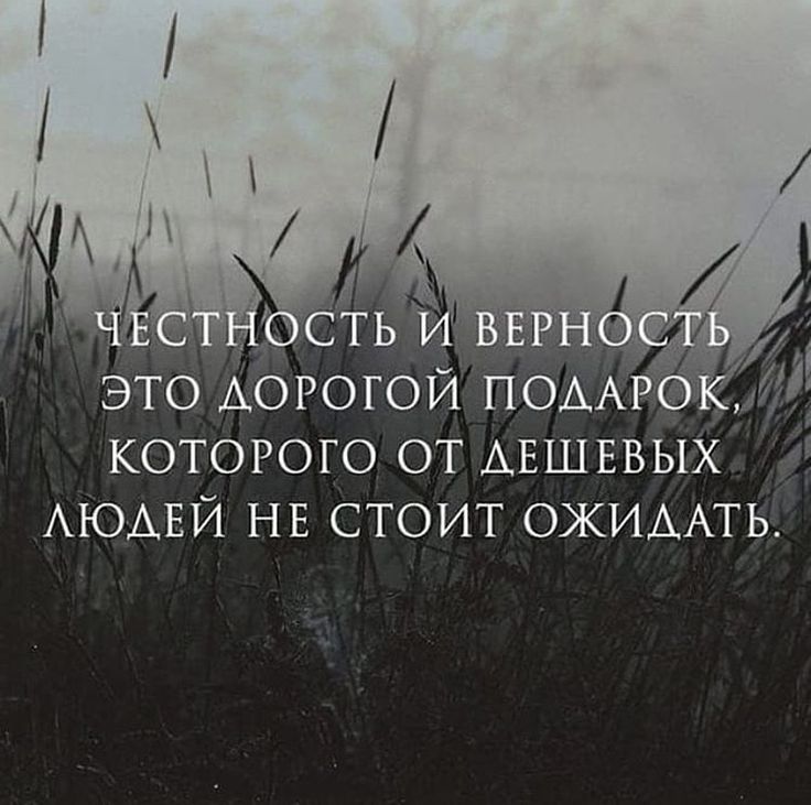 Честность и верность это дорогой подарок которого от дешевых людей не стоит ожидать картинка