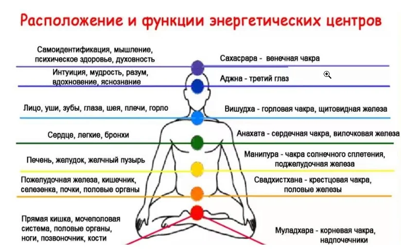 Основные энергетические. Расположение и функции энергетических центров. Чакра половых органов. Анахата органы. Энергетические центры таблица.