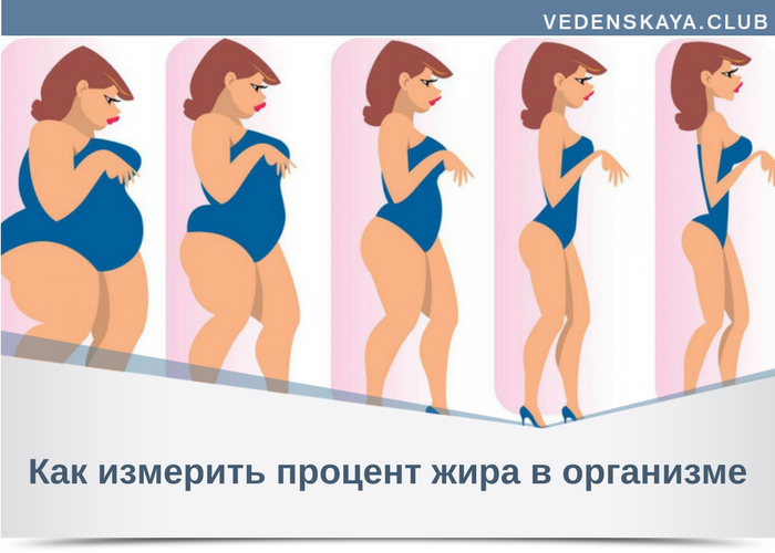 Как вычислить процент жира. Процент жира в организме. Процент жира в теле. Как измерить процент жира. % Жира в организме женщины.