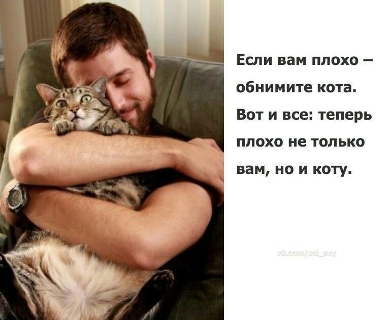 Мужчина любящий кошку. Кот обнимает. Кот обнимашки. Мужчина обнимает котика. Если вам плохо обнимите кота.