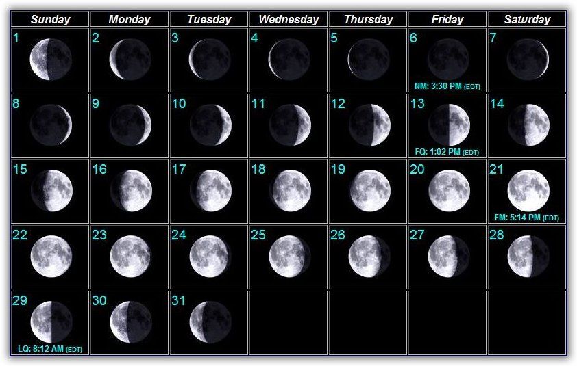 Какая луна в марте 2024г для стрижки