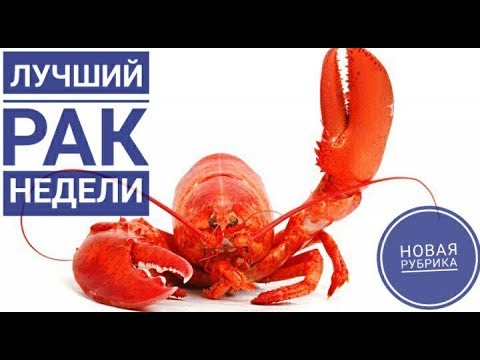 Раки недели