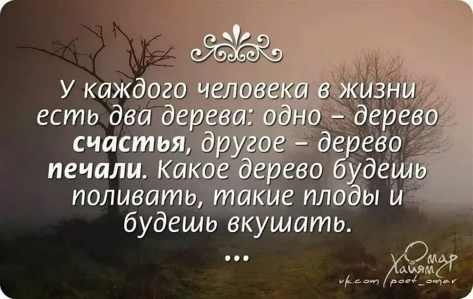 Мир всезнайки цитаты в картинках о жизни со смыслом