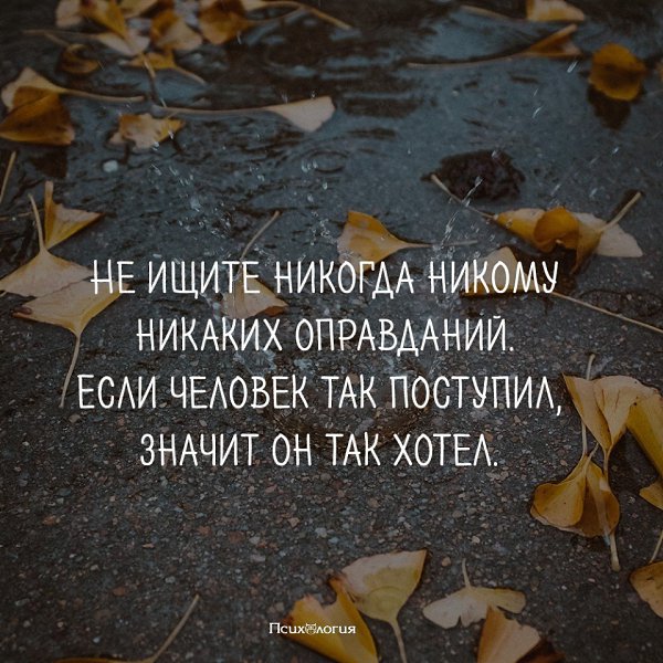 Кручит бурчит никого не хочет. Не ищите оправданий. Никому не ищи оправданий. Не ищите никогда никому оправданий. Не ищите оправданий цитаты.