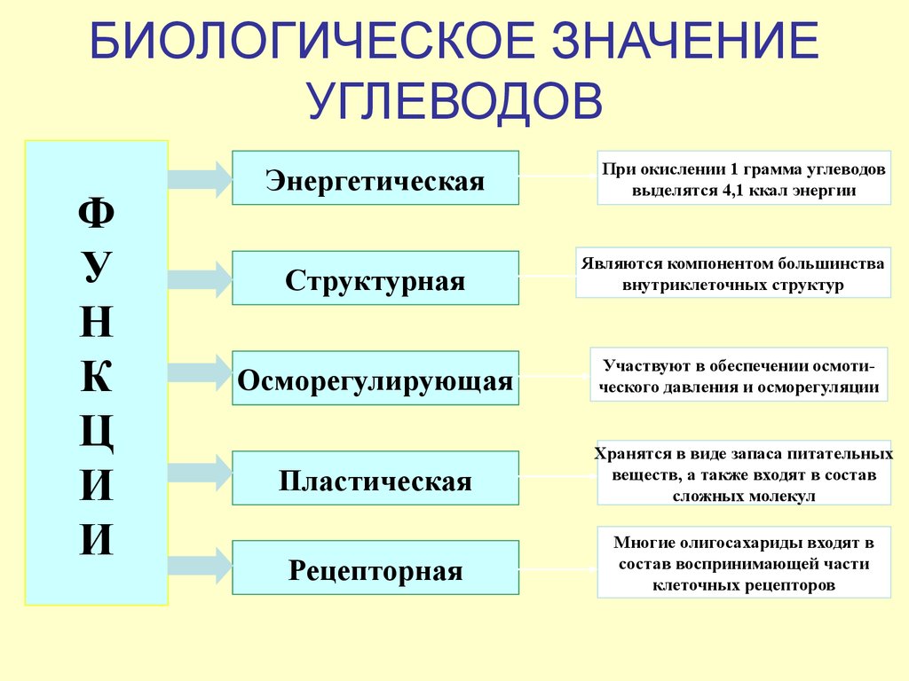 Применение углеводов схема