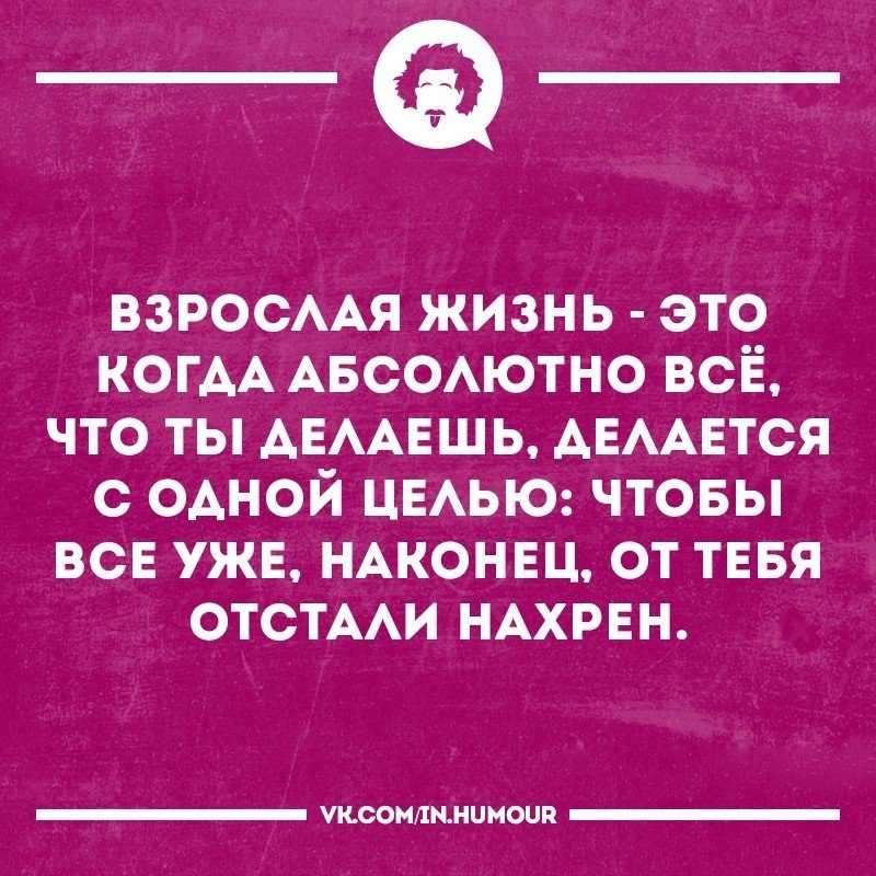 Взрослая жизнь это. Взрослая жизнь. Взрослая жизнь это когда. Взрослая жизнь картинки. Взрослая жизнь это круто.