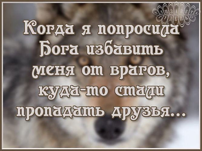 С такими друзьями и врагов не надо картинки