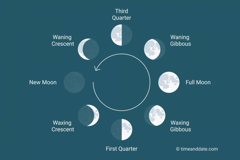 Фазы Луны. Новолуние и полнолуние. Фазы Луны инфографика. Как выглядит новолуние.