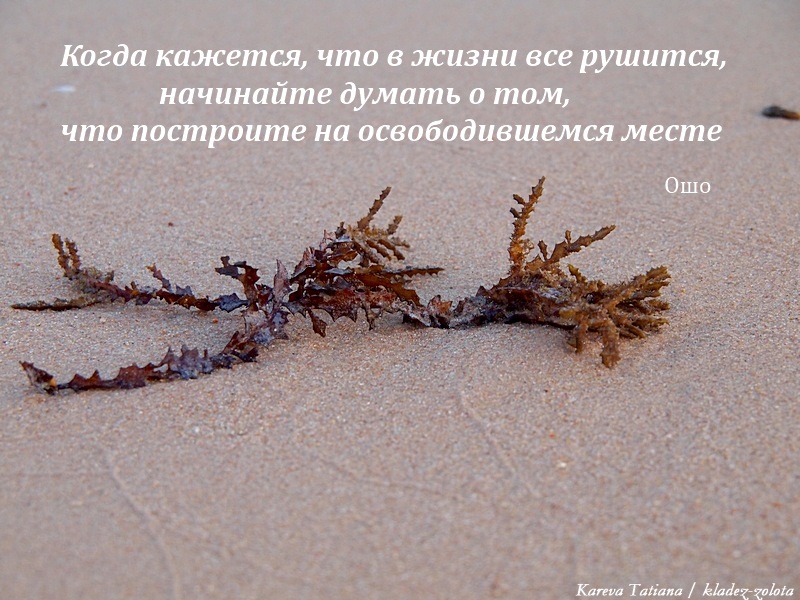 Любой конец. Конец жизни,начало новой жизни. Каждый конец это новое начало цитаты. Конец старого начало нового цитаты. Иногда конец это только начало.