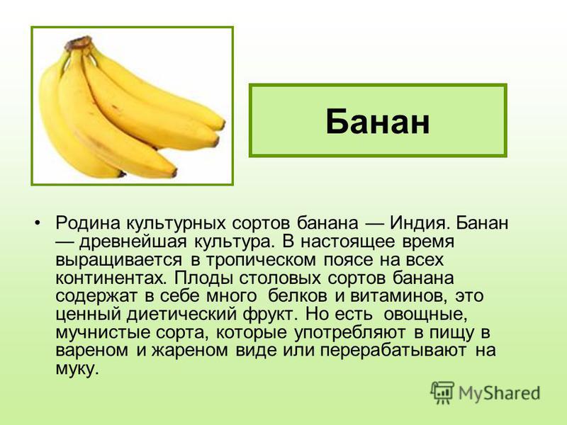 Bananas текст. Дары старого света банан. Родина банана. Плод банана.