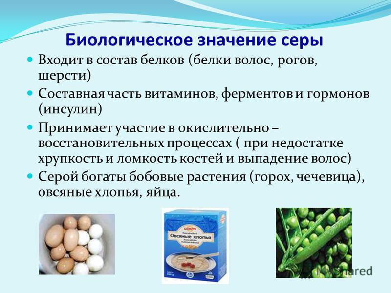 Значение белков. Биологическое значение витаминов. Биологическое значение белков. Биологическое значение белков в организме человека. Биологическое значение белков химия.