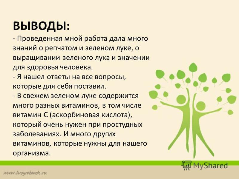 Луки значения слова. Исследовательская работа на тему «польза лука». Рисунок польза лука зелёного памятка. Какие советы дает лука. Выводы о проведенной акции по духовному здоровью.