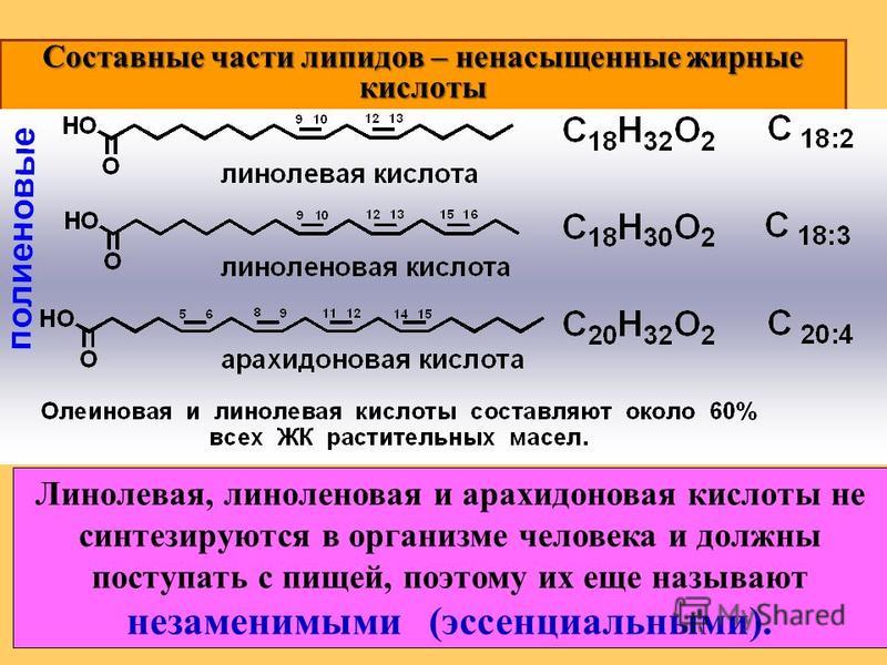 Олеиновая и стеариновая кислота формулы. Линолевая линоленовая и арахидоновая кислоты. Линоленовая кислота формула биохимия. Арахидоновой, линолевой и линоленовой кислот. Олеиновая кислота линолевая кислота.