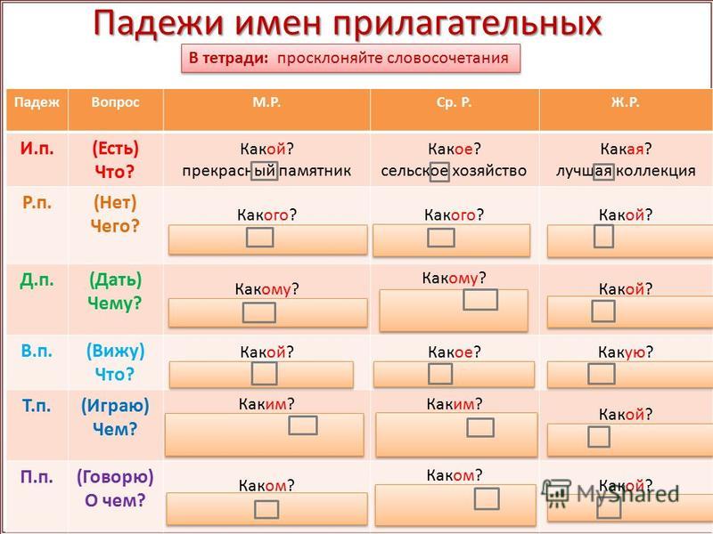 Звук прилагательные. Прилагательные падежи.