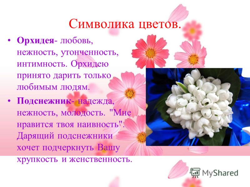 Символ цвета цветов. Символика цветов. Что символизируют цветы. Цветок символизирующий нежность. Что символизируют цвета цветов.