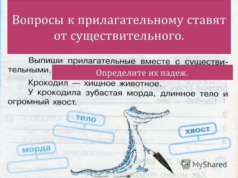 Имя прилагательное на какие вопросы. Прилагательные вопросы. Вопросы к прилагательному. Вопрос ыприлогательные. Постановка вопросов к прилагательным.