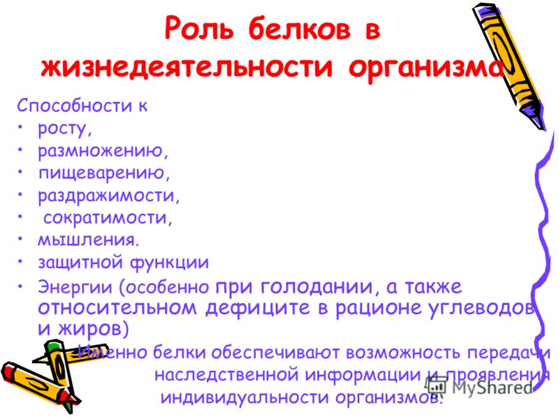 Роль белка в организме. Роль белков в жизнедеятельности. Роль белка в жизнедеятельности организма. Какова роль белков в жизнедеятельности организма. Роль белков в процессах жизнедеятельности.