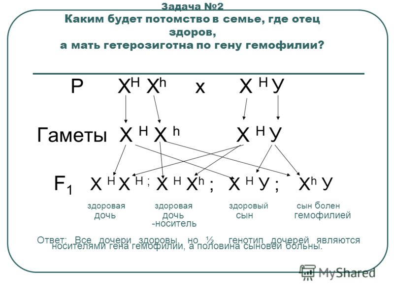 У здоровых родителей родился