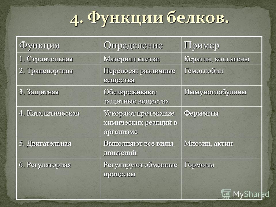 Название белков. Функции белков биология 8 класс. Функции белков таблица 9 класс биология. Функции белков с примерами таблица. Биологические функции белков таблица.