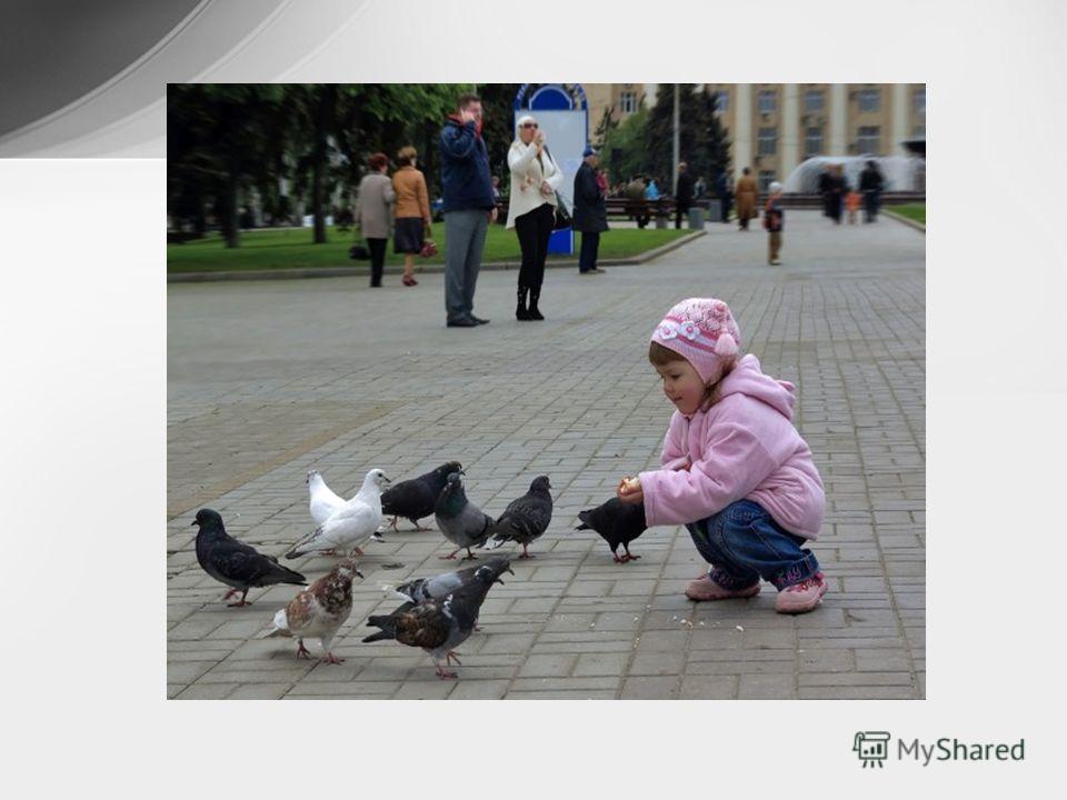 Фото добрые дела в школе