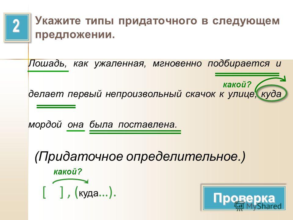 Вид подчеркивать. Как определить Тип придаточного предложения. Как определить вид придаточного предложения. Виды придаточных определительных. Укажите вид придаточного предложения.