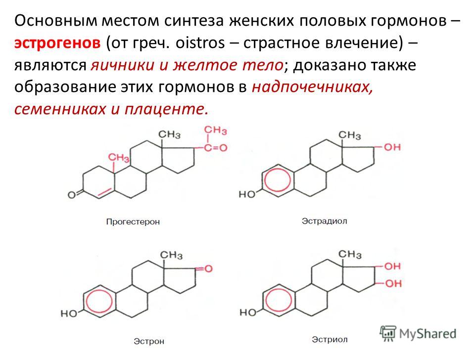 Гормон эстроген у женщин