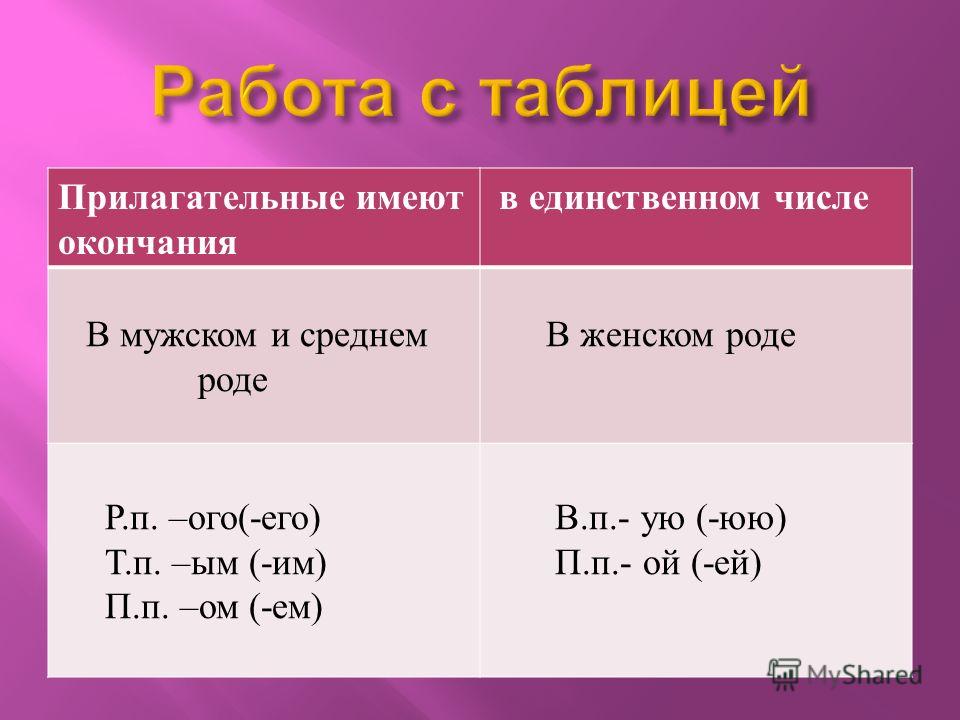 Прилагательные в единственном числе. Прилагательные имеют окончания в единственном числе. Прилагательные женского рода единственного числа. Окончания прилагательных мужского женского и среднего рода. Прилагательные единственного числа мужского и среднего рода.